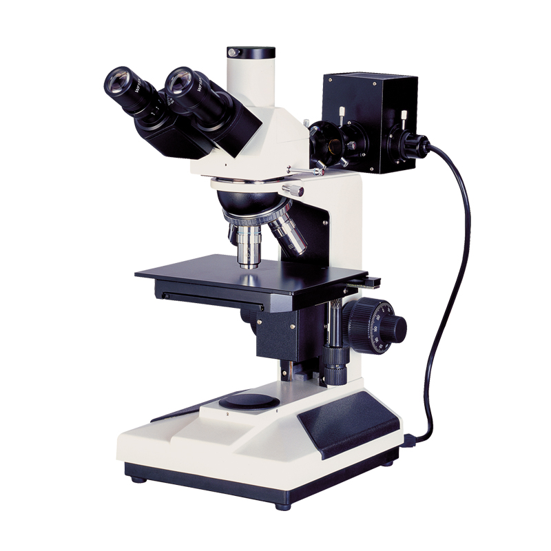 Upright Microscope